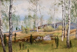 Birch Trees by Thorsten Waenerberg